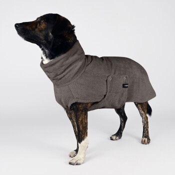 Ein Dobermann, der einen gemütlichen grauen Fleece-Hundemantel trägt, sitzt aufrecht und schaut nach oben vor einem schlichten weißen Hintergrund.