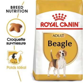 Sac de nourriture pour chiens Royal Canin Adult Beagle avec un design jaune et blanc, mettant en avant une nutrition spécifique à la race avec une silhouette de beagle.