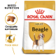 Sac de nourriture pour chiens Royal Canin Adult Beagle avec un design jaune et blanc, mettant en avant une nutrition spécifique à la race avec une silhouette de beagle.