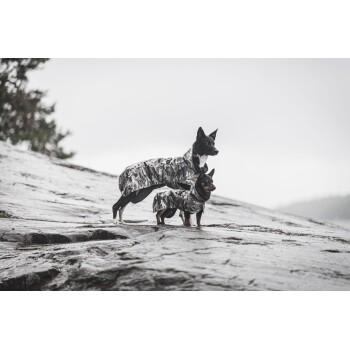 Zwei Hunde in passenden Tarnregenmänteln stehen auf einer felsigen Oberfläche, mit einem bewölkten Himmel im Hintergrund.
