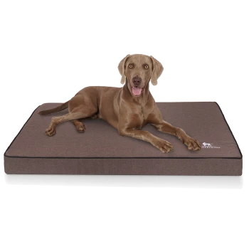 Ein brauner Hund liegt bequem auf einem dicken, rechteckigen Hundebett mit einem dunkelbraunen Bezug und einem Logo, das "Häffelwuff" liest.