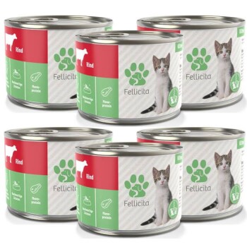Sechs Dosen Katzenfutter mit der Aufschrift "Rind für Katzen" von der Marke Felicita, mit einem pinken Design und einer Katzenillustration.
