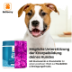 Hundesupplement-Glas mit der Aufschrift "Joint Pro" von Balloony, mit Text über die Unterstützung der Knorpelbildung mit Glucosamin und Chondroitin.
