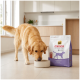 Golden Retriever frisst aus einem Napf neben einer Tüte mit der Aufschrift 'Select Gold Medica Veterinary Diet' auf dem Küchenboden.