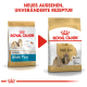 Zwei Tüten Royal Canin Hundefutter für Shih Tzus, mit einem neuen Design, aber dem gleichen Rezept. Text: "NEUES AUSSEHEN, UNVERÄNDERTE REZEPTUR."
