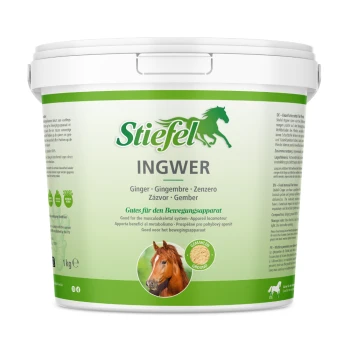 Weißer Eimer mit der Aufschrift "Stiefel INGWER Wurzel, gemahlen" mit dem Gesicht eines Pferdes und Ingwerwurzel, mit dem Text "Gutes für den Bewegungsapparat."