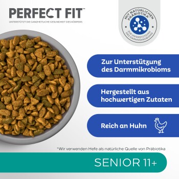 Schüssel mit "Perfect Fit" Trockenfutter für ältere Hunde 11+, das die Darmgesundheit, hochwertige Zutaten und Hühneranteil hervorhebt.
