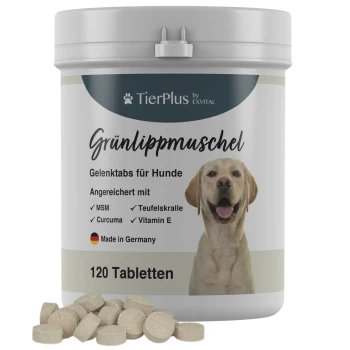 Grünlippmuschel Gelenktabs für Hunde, 120 Tabletten, angereichert mit MSM, Ingwer, Teufelskralle, Vitamin E, Hergestellt in Deutschland.