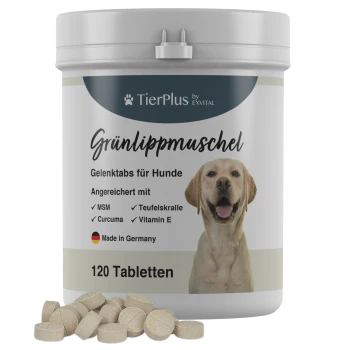 Grünlippmuschel Gelenktabs für Hunde, 120 Tabletten, angereichert mit MSM, Ingwer, Teufelskralle, Vitamin E, Hergestellt in Deutschland.