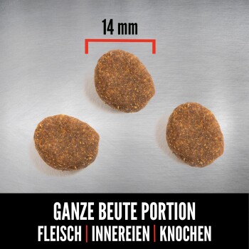 Drei 14 mm Haustierfutterkibbles auf einem metallischen Hintergrund mit dem Text: "GANZE BEUTE PORTION FLEISCH | INNEREIEN | KNOCHEN".