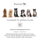 Bild von verschiedenen Hunderassen, die ein XL-Hunde­bett präsentieren, beschriftet mit "Hunde­bett für größere Hunde", geeignet für Hunde mit einer Rückenlänge von bis zu 52 cm.