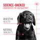 Black Labrador dog yawning with text: "Science-Backed Ingredients to Help Support" and key points "Digestive Health" and "Natural Immunity."