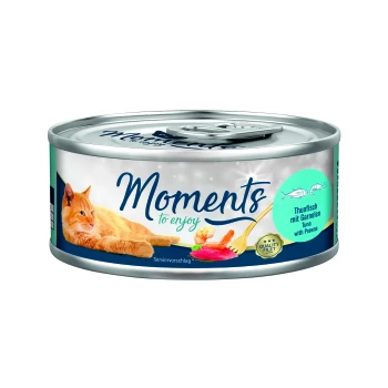 Katfood-Dose mit einer orangefarbenen Katze, mit dem Text "Moments to enjoy" und "Thunfisch mit Garnelen."