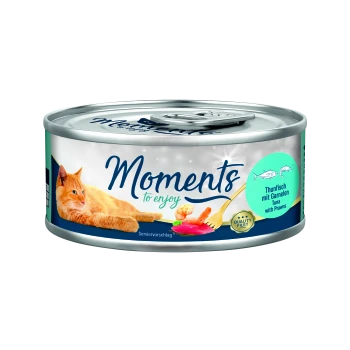 Boîte de nourriture pour chat avec un chat orange, avec le texte "Moments à savourer" et "Thunfisch mit Garnelen" (Thon avec des crevettes).
