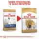 Obrazek dwóch torebek karmy dla psów Royal Canin dla buldogów francuskich z nowym opakowaniem, które mówi 'NOWE OPAKOWANIE, TA SAMA RECEPTURA.'
