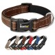 Braunes Haustierhalsband mit schwarzem Schnallenverschluss, das das "lionto"-Logo und einen metallischen D-Ring zur Leinenbefestigung aufweist.