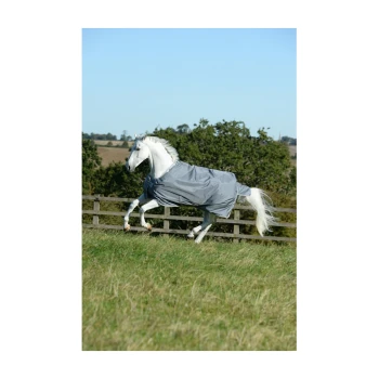 Ein weißes Pferd, das mit einer grauen Decke über ein grasbewachsenes Feld galoppiert, mit einem Holzzaun und blauem Himmel im Hintergrund.