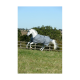 Ein weißes Pferd, das mit einer grauen Decke über ein grasbewachsenes Feld galoppiert, mit einem Holzzaun und blauem Himmel im Hintergrund.