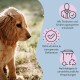 Golden Retriever Welpe sitzt auf Gras, mit Text, der die Entwicklung mit Tierärzten, Transparenz und umweltfreundlicher Verpackung hervorhebt.