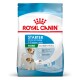 Sac de nourriture pour chiens Royal Canin Starter pour mères et chiots, adapté pour 1-2 mois, taille mini pour les chiens adultes jusqu'à 10 kg.