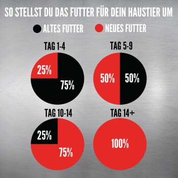 Infografik, die einen Fütterungsübergangsplan für Haustiere zeigt, mit Tortendiagrammen, die die Prozentsätze von altem (schwarz) und neuem (rot) Futter über 14 Tage anzeigen.