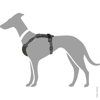 Illustration eines grauen Hundes, der ein schwarzes Geschirr trägt, das das Design und die Passform des Geschirrs am Körper des Hundes zeigt.