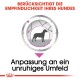 Illustration eines Hundes in einem Kreis mit Pfeilen, Text: "Berücksichtigt Empfindlichkeit" und "Passt sich Unruhe an."