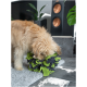 Ein flauschiger hellbrauner Hund schnüffelt und spielt mit einer grünen und schwarzen Schnüffelmatte auf einem grauen Teppich in einem modernen Wohnzimmer.