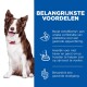 Een blije border collie zit naast een blauw paneel dat de voordelen van huisdiervoeding benadrukt: ActivBiome+ voor spijsvertering, smakelijke haver en gezonde ontlasting.