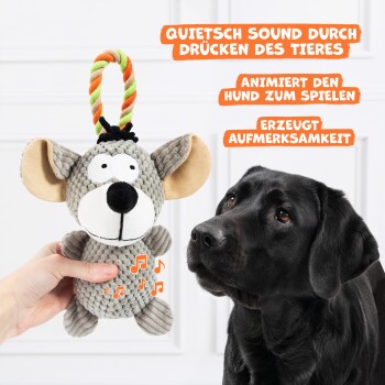 Eine Hand hält ein graues quietschendes Mausspielzeug, während ein neugieriger schwarzer Labrador zuschaut. Die Textausschnitte beinhalten "QUIETSCH SOUND" und "ANIMIERT DEN HUND."