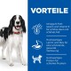 Science Plan Medium Adult 1-6 Lamm und Reis 14 kg