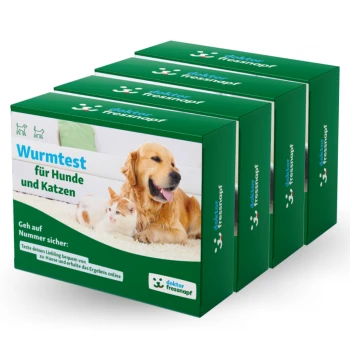 Wurmtest-Kit für Hunde und Katzen, mit einem Golden Retriever und einer Katze auf der Verpackung, mit Text, der Online-Ergebnisse bewirbt.