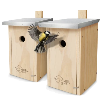 Zwei Holzvogelhäuser mit Metalldächern, mit einem fliegenden Kohlmeisen vor ihnen, mit der Aufschrift "Wildtierheim".