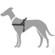 Illustration eines grauen Hundes, der ein schwarzes Geschirr trägt, das das Design und die Passform des Geschirrs am Körper des Hundes zeigt.