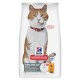 Hill's ‚Sterilised Cat‘-Tüte mit einer orange-weißen Katze mit rotem Halsband; sichtbarer Text: ‚Sterilised Cat‘, ‚with chicken‘.