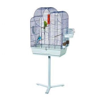 bird cage Eliza