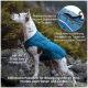 Ein Hund in einer blauen Jacke steht auf Felsen und zeigt reflektierende Streifen, einen Geschirr-Reißverschluss und ein Design für Wärme und Mobilität.