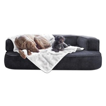 Zwei Hunde, ein großer brauner Hund und ein kleiner schwarzer Hund, ruhen sich auf einem dunkelgrauen Sofa aus, das mit einer weißen Decke bedeckt ist.