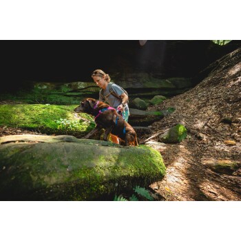 Eine Person in einem grauen T-Shirt und Shorts geht mit einem braunen Hund, der ein pinkes Geschirr trägt, auf einem moosbedeckten Stein in einem Waldgebiet.