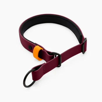 Ein stilvolles kastanienbraunes und schwarzes Hundehalsband mit einem lavendelfarbenen Verbinder, mit zwei schwarzen Ringen zur Leinenbefestigung.