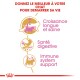 Image promouvant le soin des chats avec le texte : "Offrez le meilleur à votre chat," mettant en avant "Croissance saine," "Santé digestive," et "Soutien immunitaire."