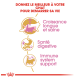 Image promouvant le soin des chats avec le texte : "Offrez le meilleur à votre chat," mettant en avant "Croissance saine," "Santé digestive," et "Soutien immunitaire."