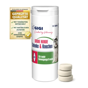 Behälter mit GIGI Gelenk- und Knochen-Tabletten für große Hunde, mit einem Bild eines Huskys, mit dem Text "100 Tabletten" und "Für mehr Bewegungsfreude".