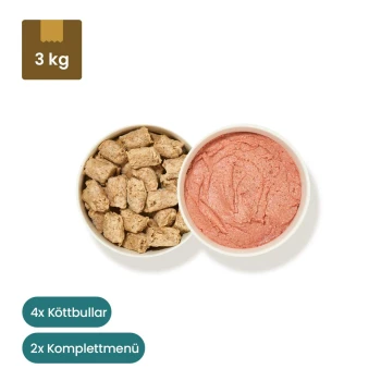 Haustierfutterprodukte: zwei "Köttbullar"-Tüten (Huhn und Lachs) und eine "Komplettmenü"-Tüte, plus Schalen mit Trockenfutter und Pâté.