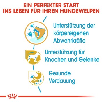 Ein perfekter Start ins Leben für Ihren Hundewelpen: Unterstützung der körpereigenen Abwehrkräfte, für Knochen und Gelenke, gesunde Verdauung.