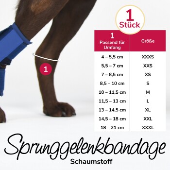 Hund trägt eine blaue Schaumstoff-Fußgelenkbandage mit Größentabelle auf Deutsch für Sprunggelenkbandage.