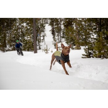 Ein brauner Hund, der eine schwarze und grüne Jacke trägt, läuft durch einen verschneiten Wald, mit einer Person auf einem Fahrrad im Hintergrund.