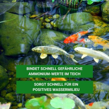 Ein Golden Retriever trinkt aus einem Teich, während Koi-Fische in der Nähe schwimmen. Text: "Schwimmteich für biologisches Gleichgewicht, sicher für Pflanzen und Tiere."