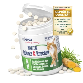 Behälter mit GIGI Katzen Gelenk- und Knochen-Tabletten, mit einem Katzenbild, dem Text "KATZEN Gelenke & Knochen" und einem "GMP Certified"-Abzeichen.