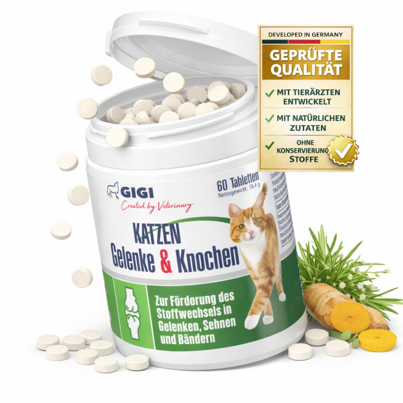 GIGI VET Katzen Gelenke & Knochen 38 g